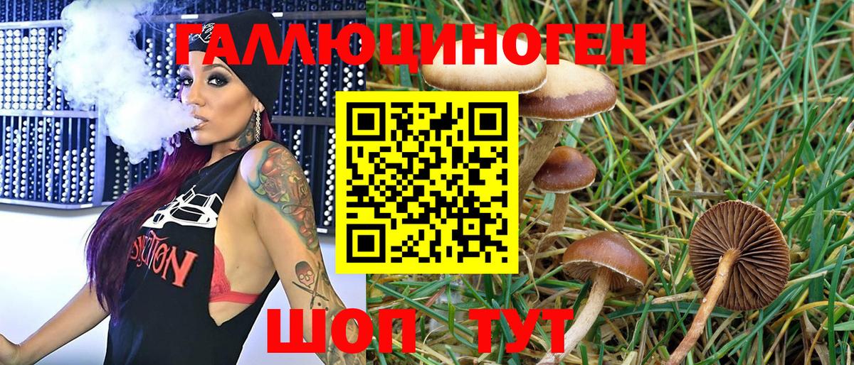 Псилоцибиновые грибы мухоморы Изобильный