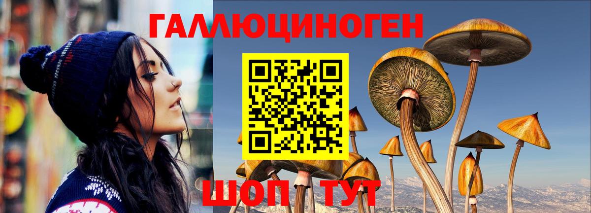 Изобильный  Псилоцибиновые грибы Cubensis  Вход с VPN  Галлюциногенные грибы Cubensis 